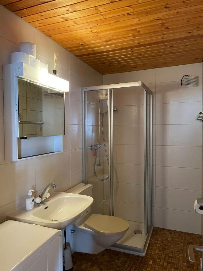 Gemuetliche Wohnung Mit Traumaussicht! Albinen Екстериор снимка