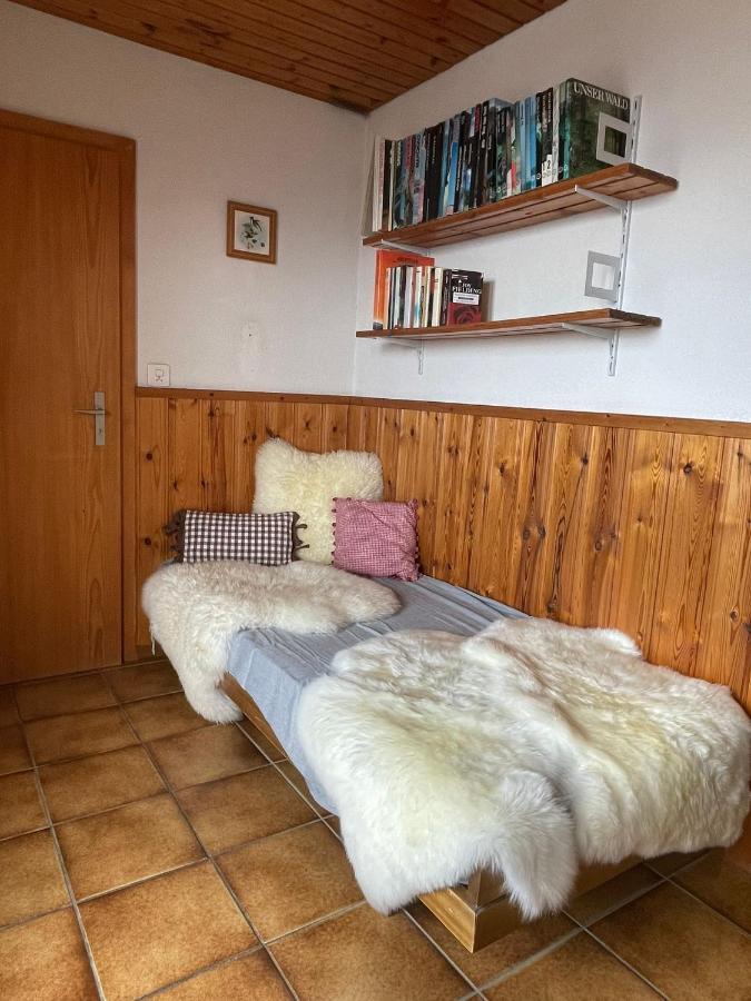 Gemuetliche Wohnung Mit Traumaussicht! Albinen Екстериор снимка